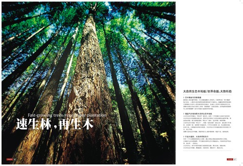 地板画册设计表现手法及欣赏5